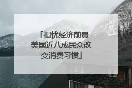 担忧经济前景 美国近八成民众改变消费习惯